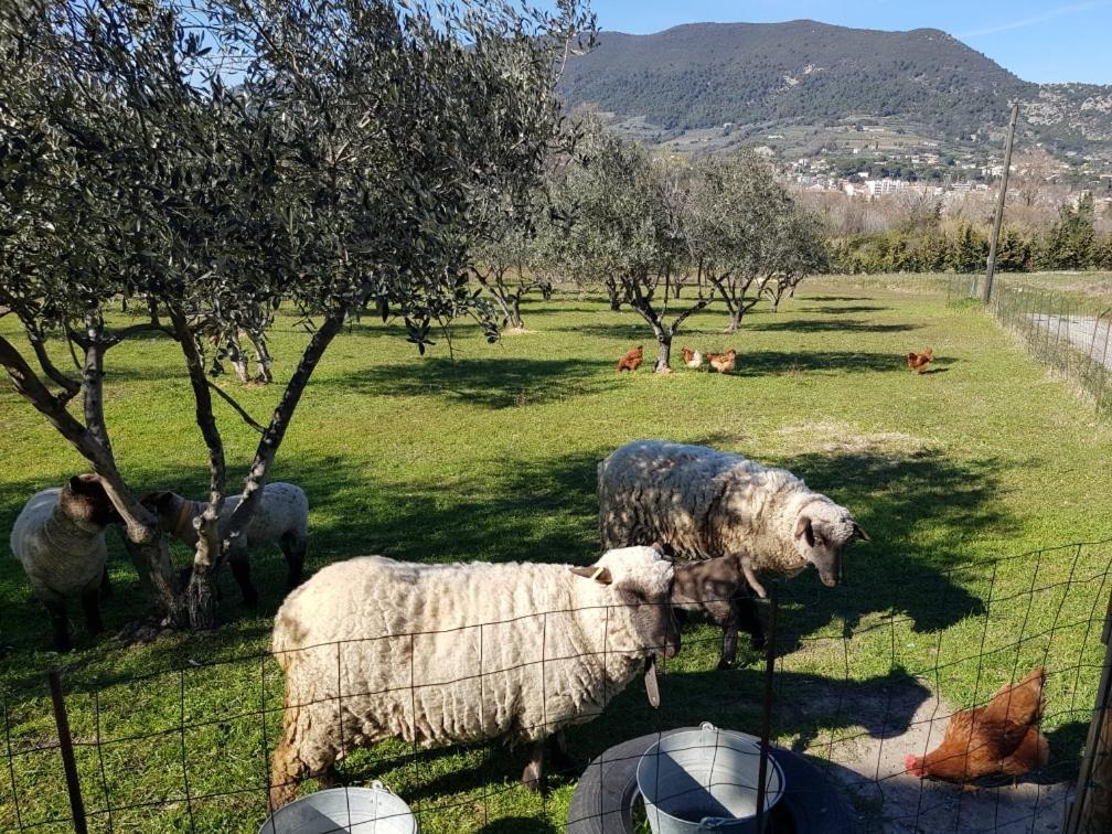 Appartement Studio en campagne dans une ferme Bio à Nyons Extérieur photo